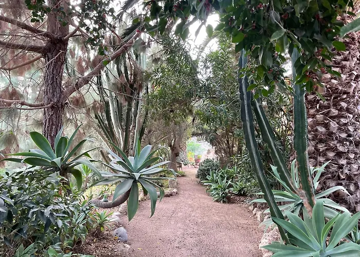 Bergfincahaeuschen Semesterbostad Santa Cruz de Tenerife