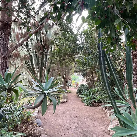 Bergfincahaeuschen Сasa de vacaciones Santa Cruz de Tenerife